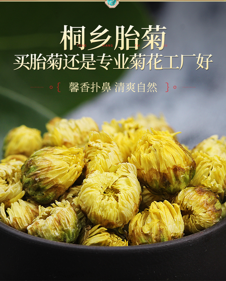 菊花茶胎菊杭白菊非特级花茶花干