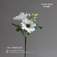Xiaoju/1 филиал