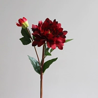 Dalihua/1 ветвь
