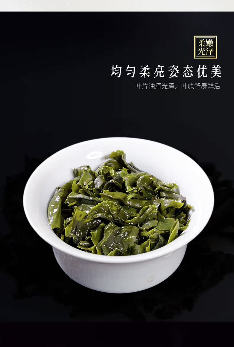 广蕴安溪浓香型铁观音茶叶100g