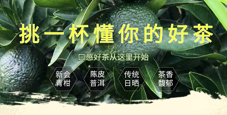 广蕴新会小青柑普洱茶陈皮小柑橘普洱茶