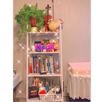ins Net red storage rack bedroom cosmetics living room finishing rack kitchen dish shelf storage rack storage rack