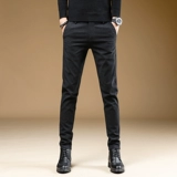 Летние тонкие мужские демисезонные трендовые штаны для отдыха, облегающий крой, свободный прямой крой