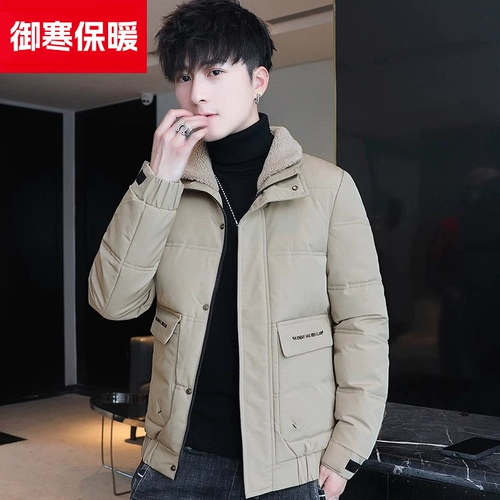 Мужской демисезонный пуховик с пухом, куртка, короткий воротник