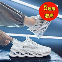 Белый (усилитель)