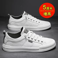 Белый серой (повышенная площадка)