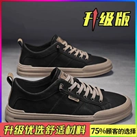 Черный хаки (модернизирован)