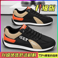 黑杏（升级款）