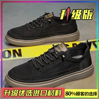 Черный абрикос (модель обновления)