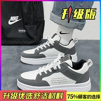 Белый серой (модель обновления)