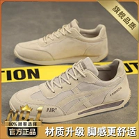 Абрикос (флагман)