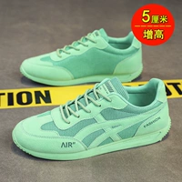 Зеленый (высота прокладка)