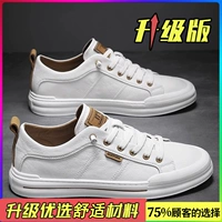 Белый коричневый (обновление)