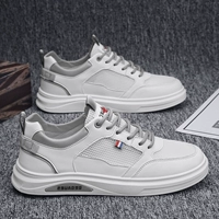 Белый серой (модель модели)