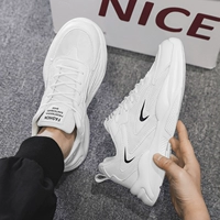 Белый (модель моделя)