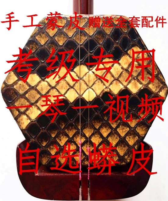 Tô Châu erhu lớp sáu hình lục giác tờ rơi gỗ hồng nhạc cụ quà tặng đàn nhị hộp phụ kiện chính hãng đảm bảo nhà máy bán hàng trực tiếp - Nhạc cụ dân tộc