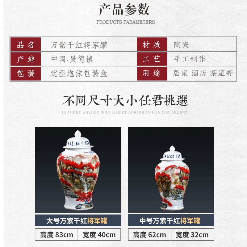 Jingdezhen ceramic masters general hand - made landing large tank storage tank Chinese TV ark adornment furnishing articles