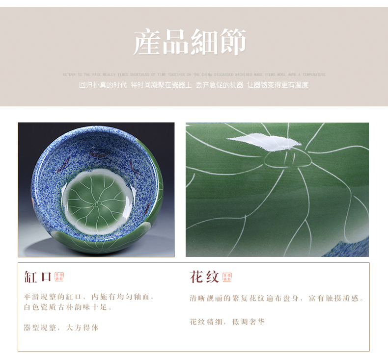 Jingdezhen ceramics goldfish turtle cylinder household water lily shallow hydroponic flower pot creative up furnishing articles in the living room