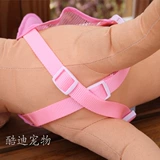 Крылья Little Angel, грудь и спина Торкционная веревка плюшевая спина для собачья веревка Vip Bie Dog Chain