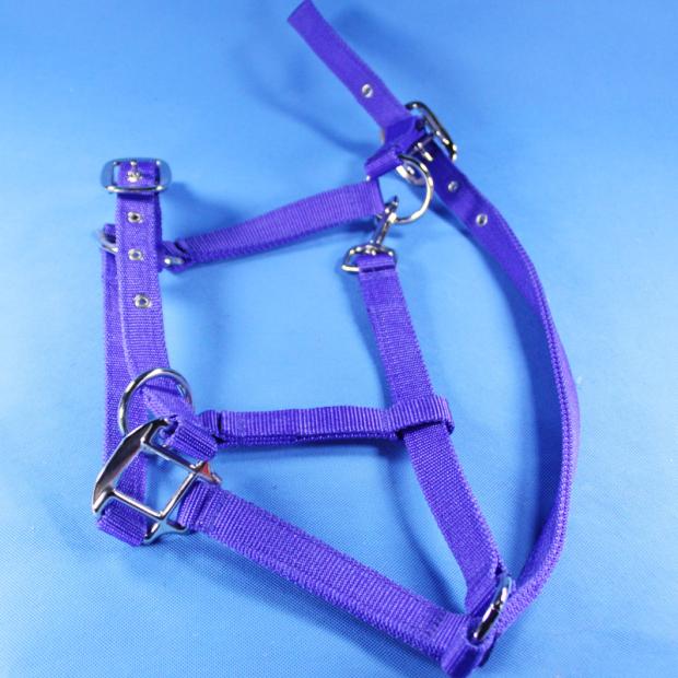 Khách du lịch ngựa pommel với yên da yên ngựa quân đội yên ngựa đầy đủ yên ngựa cưỡi ngựa cung cấp ngựa dây ngựa ngựa dây ngựa - Nguồn cung cấp ngựa & ngựa yên ngựa cao cấp