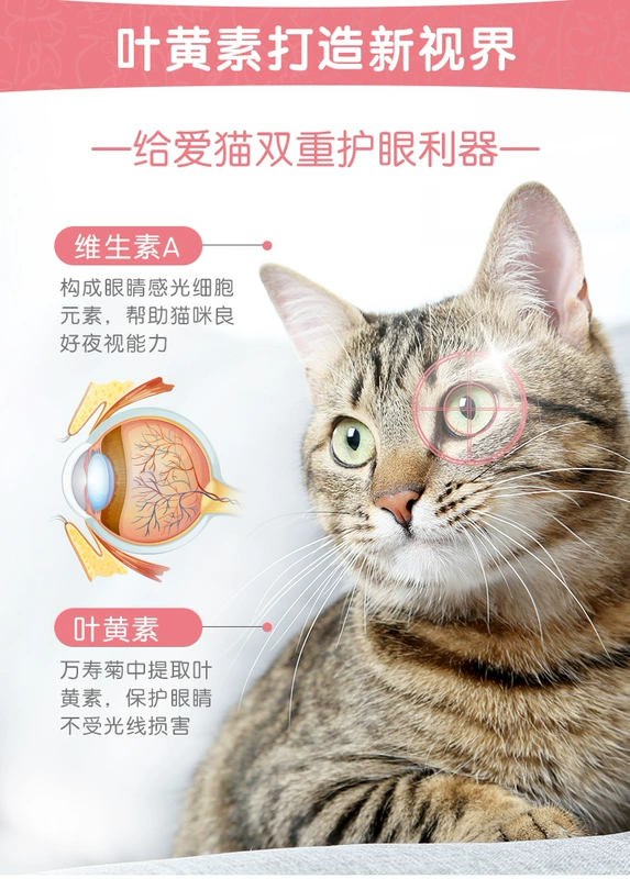 Medes cat taurine viên 120 viên mèo thành mèo bảo vệ vật nuôi thị lực tim võng mạc - Cat / Dog Health bổ sung