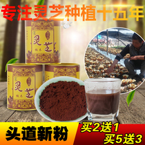 Buy 2 get 1 free Ganoderma lucidum spore powder non-Changbai Mountain Ganoderma lucidum powder Linzhi Longquan tou Dao bulk mycelium powder wild