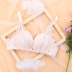 Bra cô gái nếp mỏng mùa hè sexy thép áo ngực ren ringless đồ lót trong một cốc dày của các vị thần vú nhỏ. 