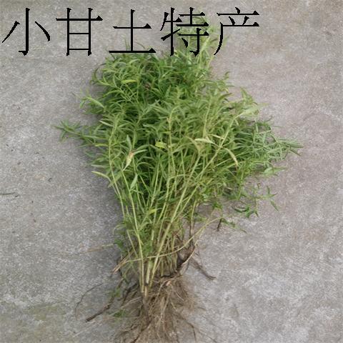 Wild Stone Mint Dried Herb Summer Cooling Tea, Herbal Tea, Cooling Tea, Nationwide Free Shipping, Buy 5 Get 1 Free Wild Stone Mint Dried Herb Summer Cooling Tea, Herbal Tea, Cooling Tea, Nationwide Free Shipping, Buy 5 Get 1 Free
