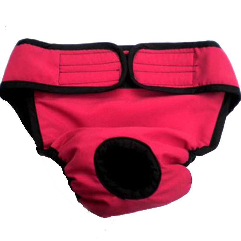 Medium Large Dog Physiology Pants Pet Physiological Pants Big Dog Physiological Pants Golden Hair Samo Protection Menstrual Pants