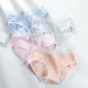 Langsha gợi cảm quần lót nữ rỗng ngực nóng eo thấp 100% cotton 裆 tóm tắt băng lụa không có dấu vết mới