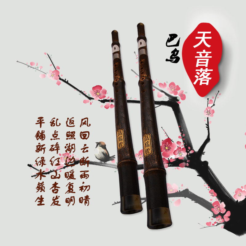Tianyin 落 巴乌 横 B Bawu người mới bắt đầu chuyên nghiệp nhạc cụ quốc gia nhập cảnh cấp đặc biệt đàn cổ cầm giá bao nhiều