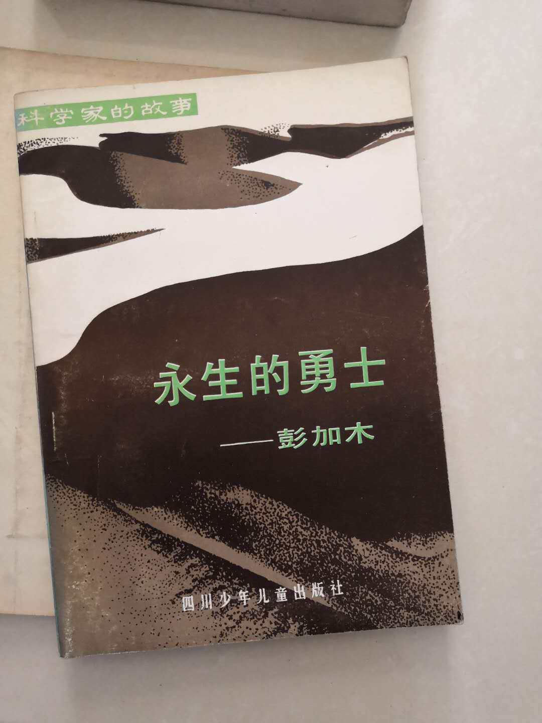 The eternal warrior Pengamu