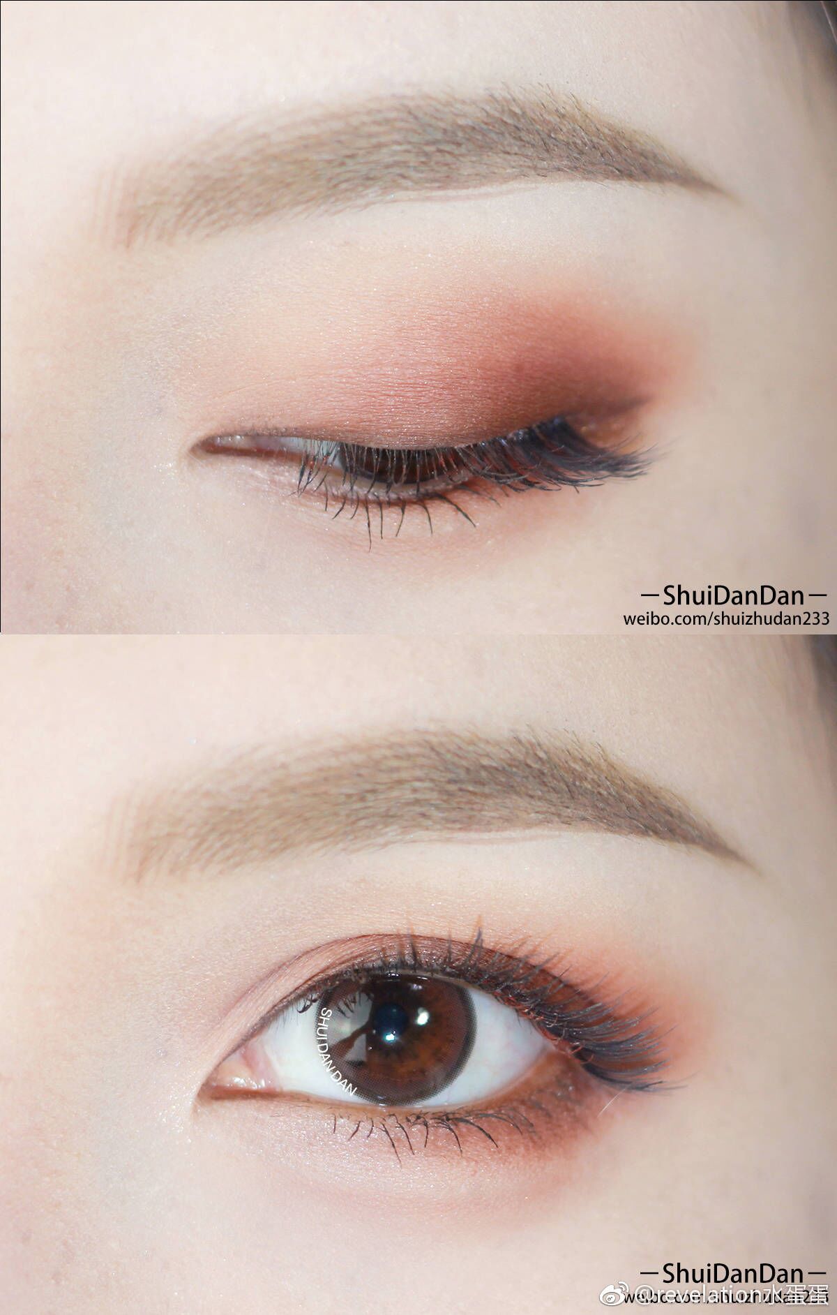 Spot CANMAKE Minefield Màu sắc trang điểm nude năm màu Mâm mờ mắt khay màu nâu đất 03 # - Bóng mắt bảng màu mắt innisfree