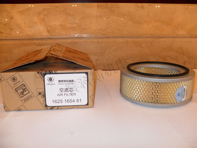 Bollet air compressor air filter 1625165461 compressor suction filter air filter core real shot