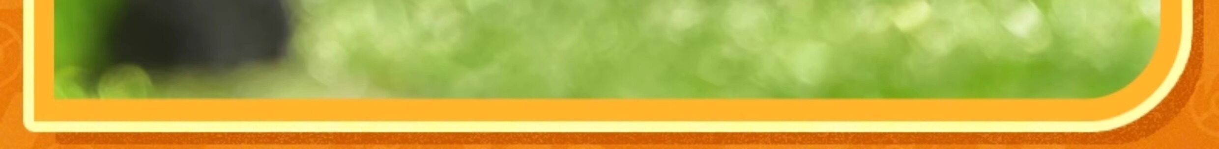 BLOKEES Original Pokemon Bausteine Pikachu Charmander Bulbasaur Squirtle Pokémon Action Figur Spielzeug Geschenk – Detail 38
