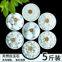 Natural white stone Sub-white jade Colorful Stone Cobblestone Pebble Stones Multi-Flesh Stone Paved Surface Hydroponic Fish Tank Paving