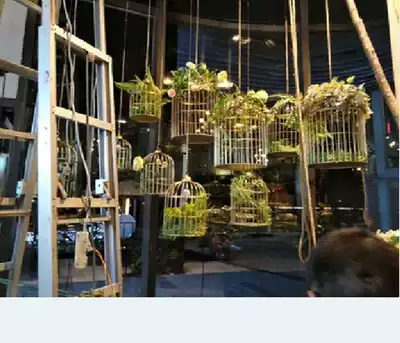 European-style wrought iron birdcage decoration birdcage flower cage decoration birdcage soft decoration lantern chandelier birdcage flower rack
