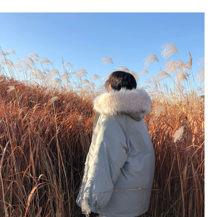 JHXC áo cổ lông lớn dụng cụ cotton cho nữ dài 2018 mùa đông phiên bản mới của Hàn Quốc của áo khoác cotton bf lỏng - Bông