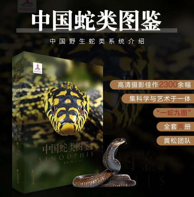 公式正規品スポット中国蛇図鑑海峡書店一匹蛇九枚図鱗黄松上下全2巻セット中国野生蛇体系紹介パイソン管蛇コブラ蛇百科博物館