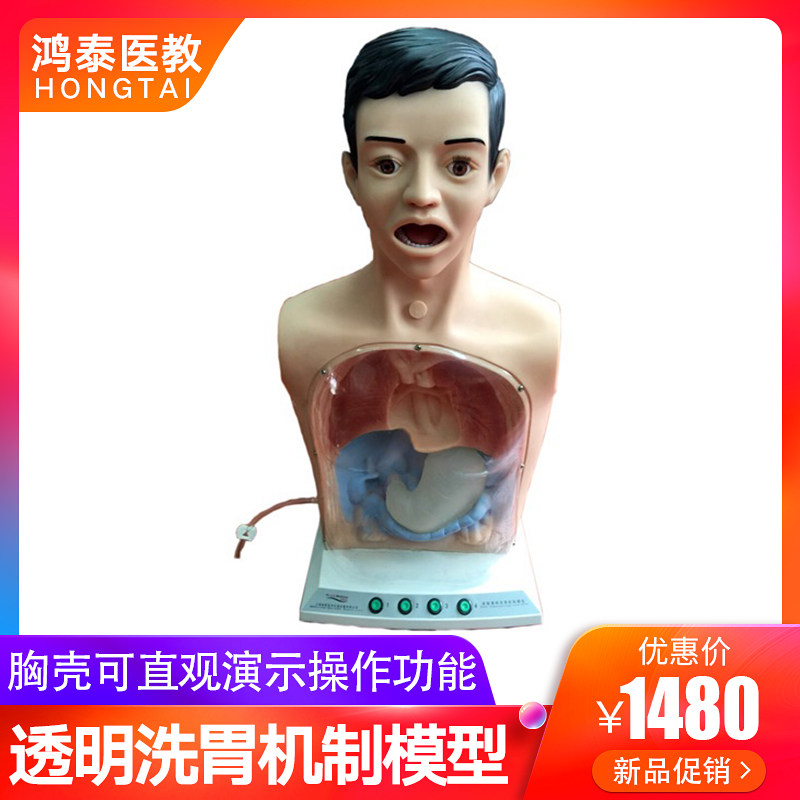 带警示透明洗胃机制模型人体胸腔为解剖结构标志洗胃法氧气吸入法