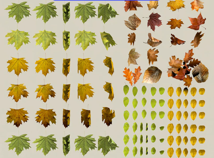 100+秋季树叶落叶枯各色叶子树木枫叶阔叶针叶SU模型C4D素材FBX-cg男孩