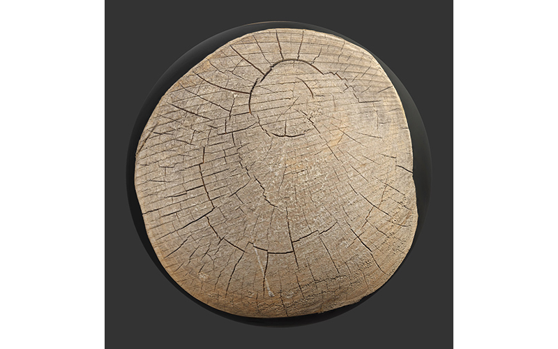 TreeTrunkCut010_Sphere.jpg