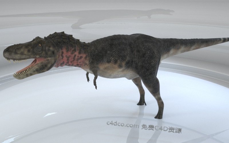Tarbosaurus特暴龙.jpg