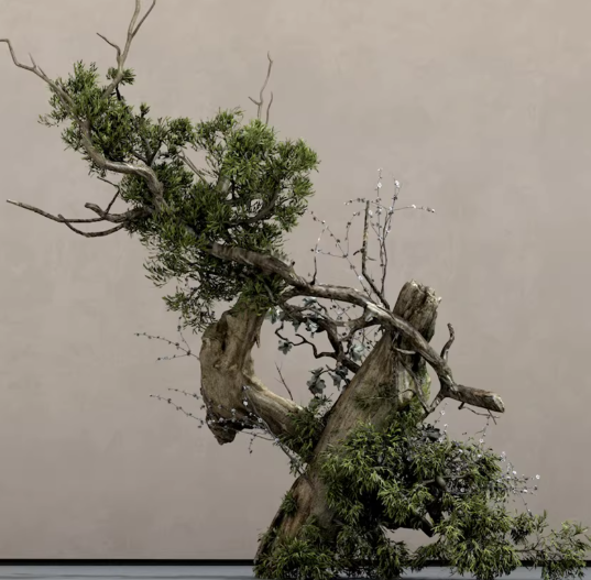 中式侘寂景观艺术装置根雕雕塑树枝树干枯木头SU模型C4D素材