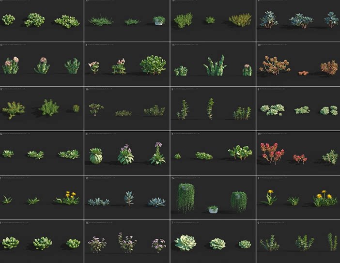 C4D黄花照波多肉植物FBX熊童子OBJ星乙女Maya爪玫瑰水晶掌月兔耳