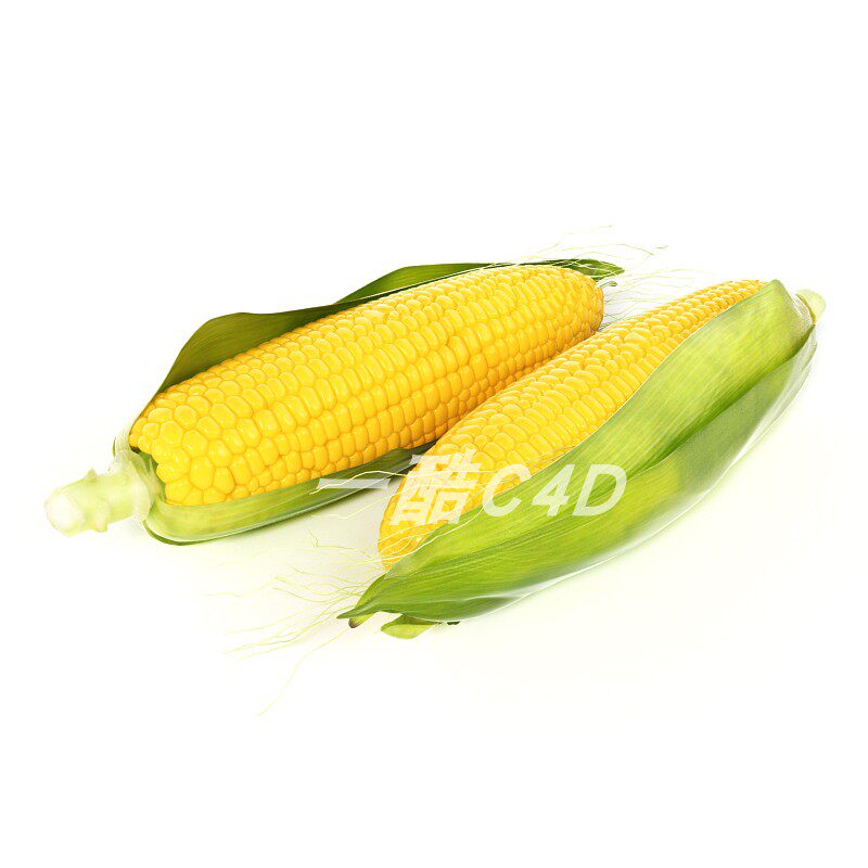 006.jpg