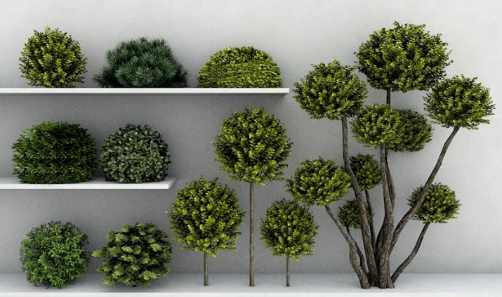 11款庭院园林景观赏艺术造型植物修剪灌木花树SU模型C4D素材FBX