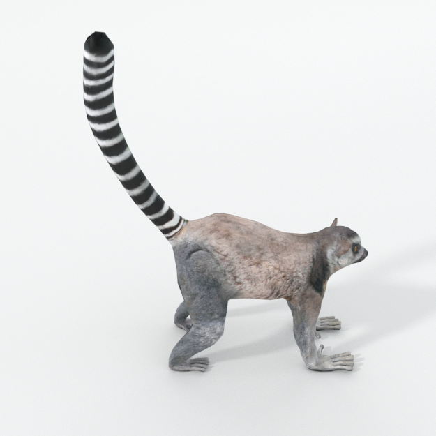 lemur.png