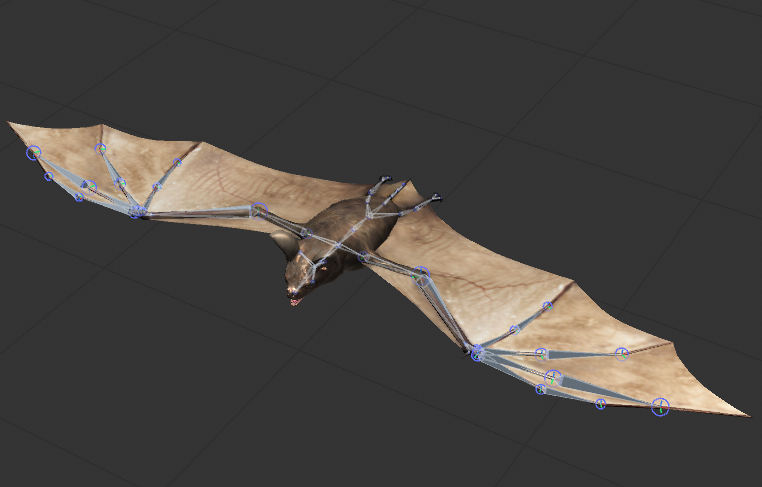 C4D FBX STL OBJ Blender Maya飞行动物蝙蝠带骨骼扇翅膀动画模型-cg男孩