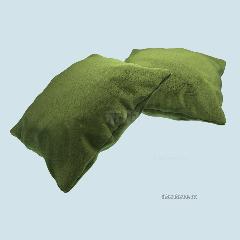 velvet-cushion.jpg